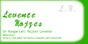 levente mojzes business card